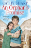 An_orphan_s_promise