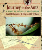 A_journey_to_the_ants