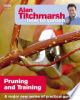 Pruning_and_training
