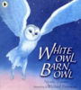 White_owl__barn_owl