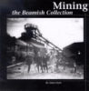 Mining_the_beamish_collection