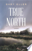 True_north