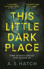This_little_dark_place