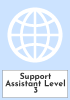 Support Assistant Level 3