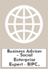 Business Adviser – Social Enterprise Expert - BIPC North East
