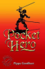 Pocket_hero