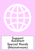 Support Assistant Special Needs (Mainstream)