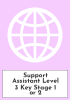 Support Assistant Level 3 Key Stage 1 or 2